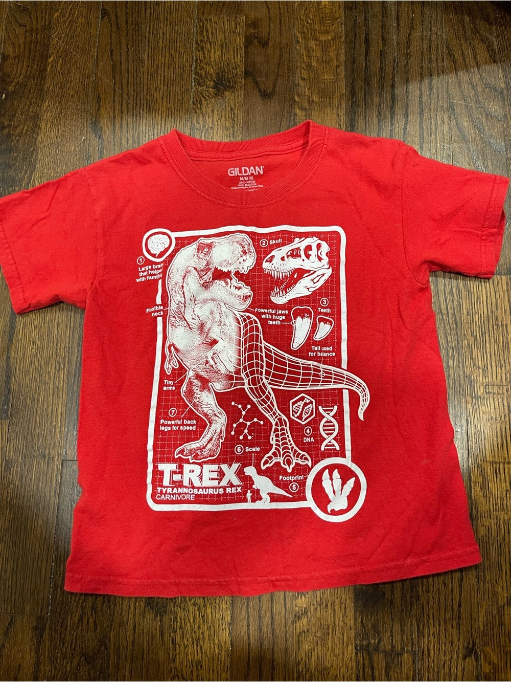 Gildan Kids' Red T-Rex Graphic Tee size M